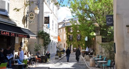 Peaceful house/ garden in Provençal village