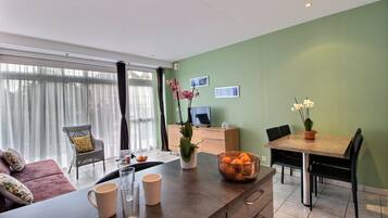 TV, DVD player, table tennis, books