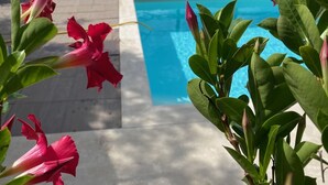A pool with a clear view of the sea and hills in the background. - Beautiful farm house with pool, open spaces  and amazing sea views  (Bordighera)