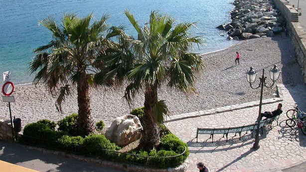 A coastal promenade with palm trees, a stone pathway, and a view of the sea. - Blue harbor lovely apartment with terrace above the beach. (Porto Azzurro)
