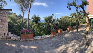 Property grounds - Delightful villa on Tuscan coast with private beach club (Porto S Stefano)