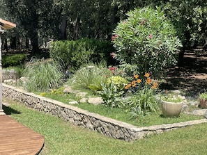 A garden with various plants and a stone wall.