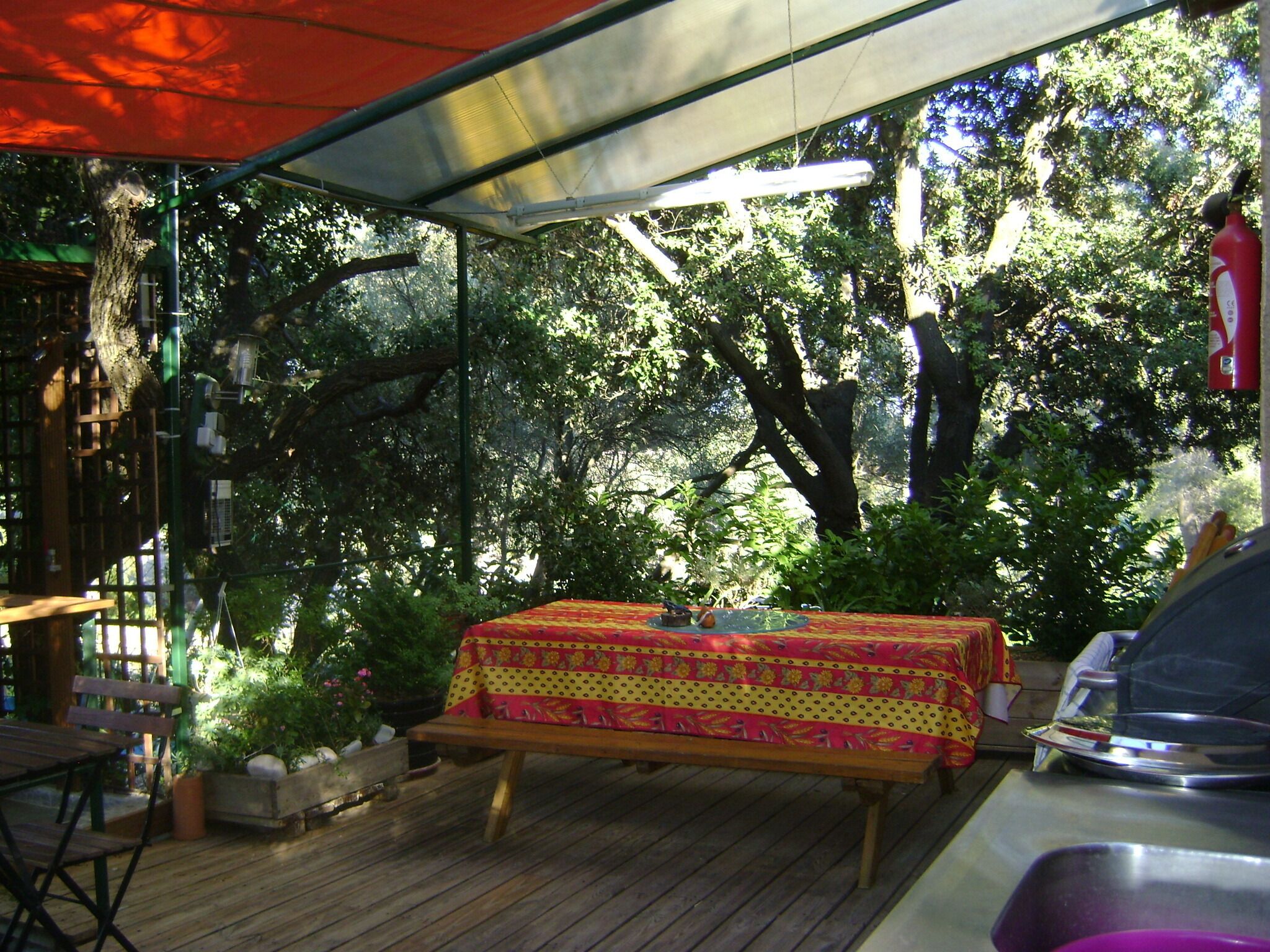 An outdoor patio with a wooden table and bench, surrounded by greenery and trees.