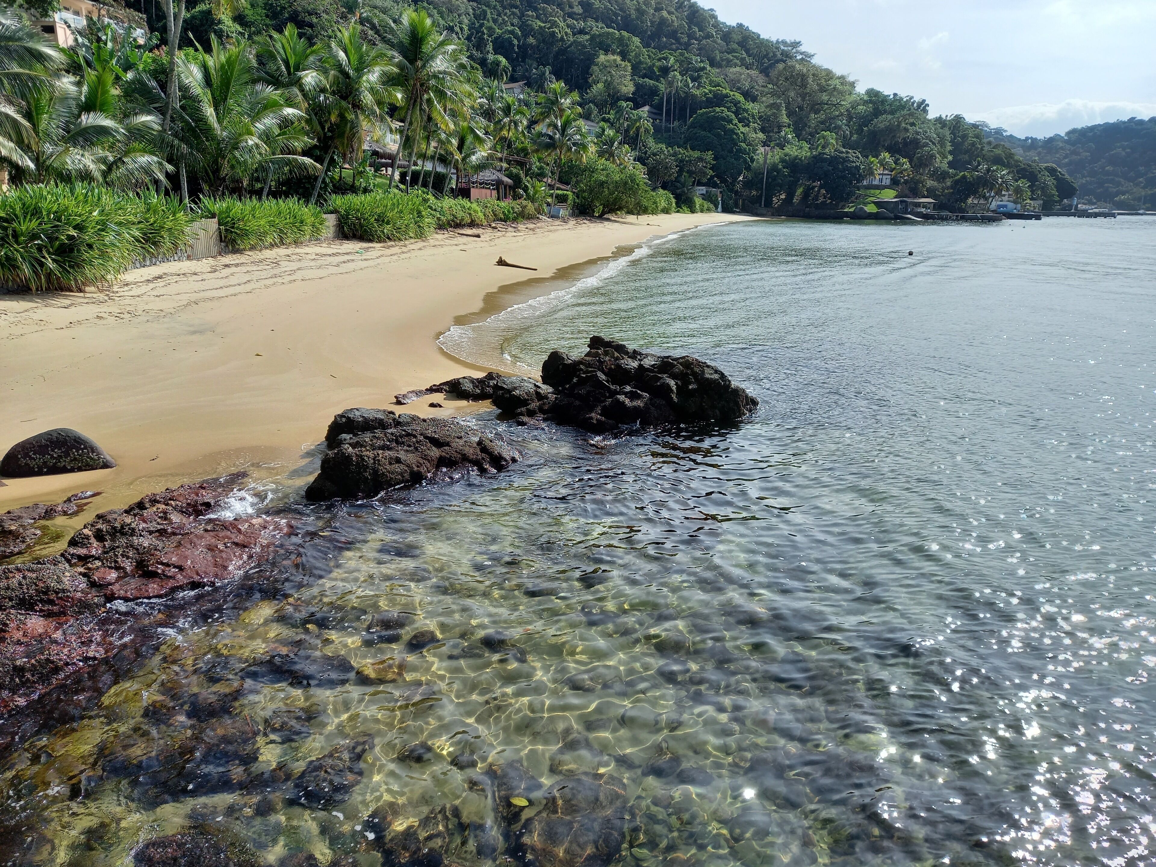 A beach with clear water, sandy shore, and lush greenery.