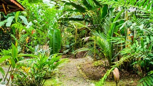 A garden pathway with a variety of tropical plants and a rustic building. - Casa Del Caribe with Bali Style Pool for Rent in Cocles, 300 meters from beach (Cocles)