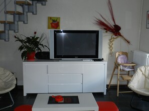 TV, DVD player, books - Gîte120m2,3étoiles closed park 4000m2,(86) FUTUROSCOPE 40min (Saint-Secondin)