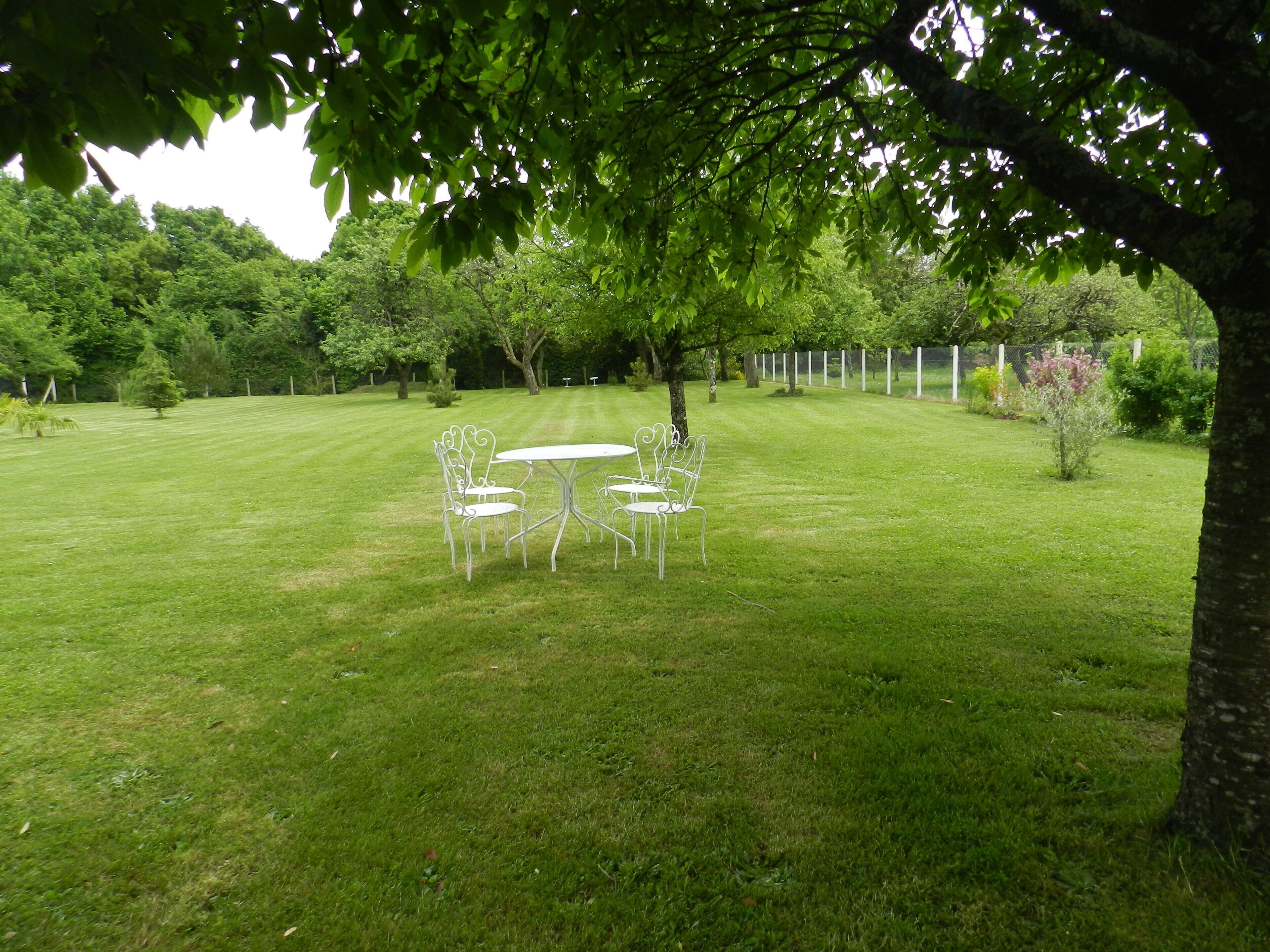 Un espacio al aire libre con césped, una mesa y sillas de metal blanco bajo un árbol.