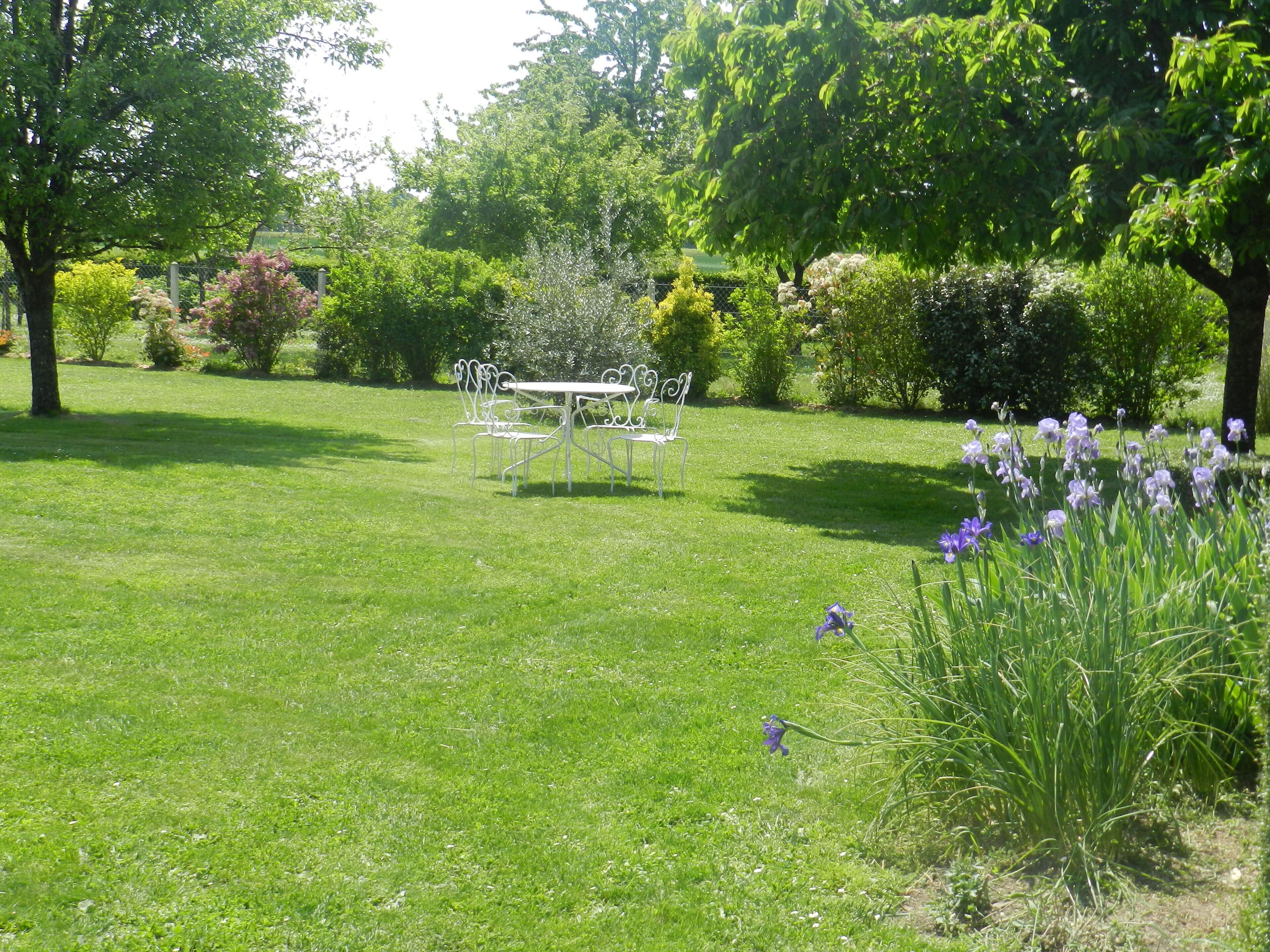 Un jardin bien entretenu, agrémenté d’une table et de chaises en métal blanc, entouré d’une végétation luxuriante et de plantes en fleurs.