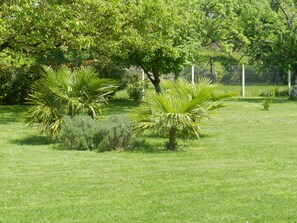 Property grounds - Gîte120m2,3étoiles closed park 4000m2,(86) FUTUROSCOPE 40min (Saint-Secondin)