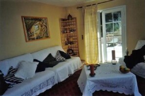 Smart TV, DVD player, books, music library