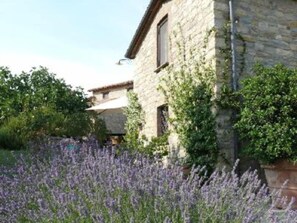 المنطقة المحيطة بالمنشأة