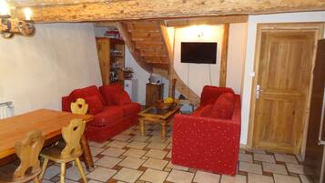 Télévision, cheminée, lecteur de DVD, livres