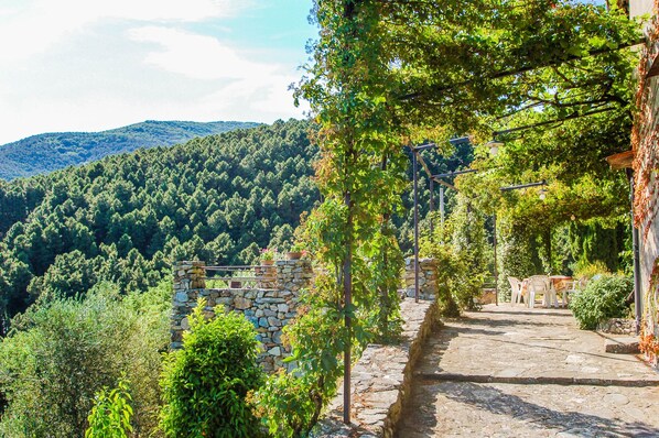 تناول الطعام بالخارج