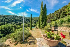 المنطقة المحيطة بالمنشأة