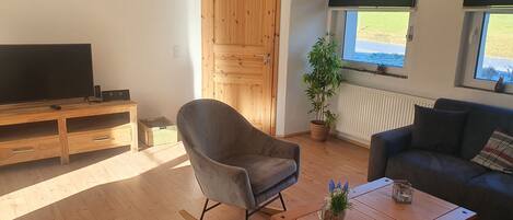 تلفزيون، ستيريو