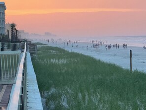 A coastal walkway with a grassy embankment and a metal railing. - 1 Bdrm..2026 Year-round time slots ..great View & Reviews...on the no drive sand (New Smyrna Beach)