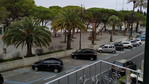 Un estacionamiento con coches, palmeras y vista al agua.