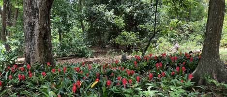 Área da propriedade