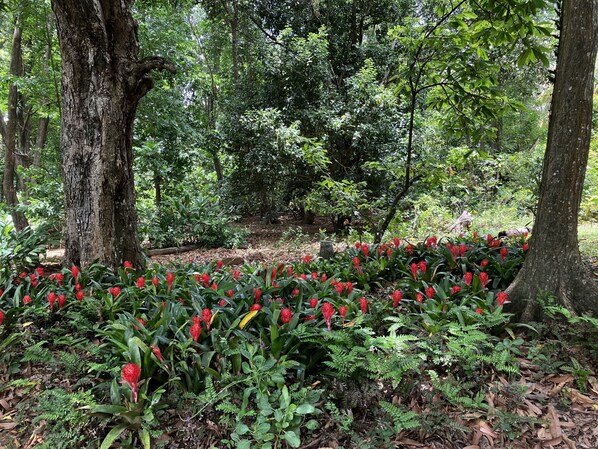 المنطقة المحيطة بالمنشأة