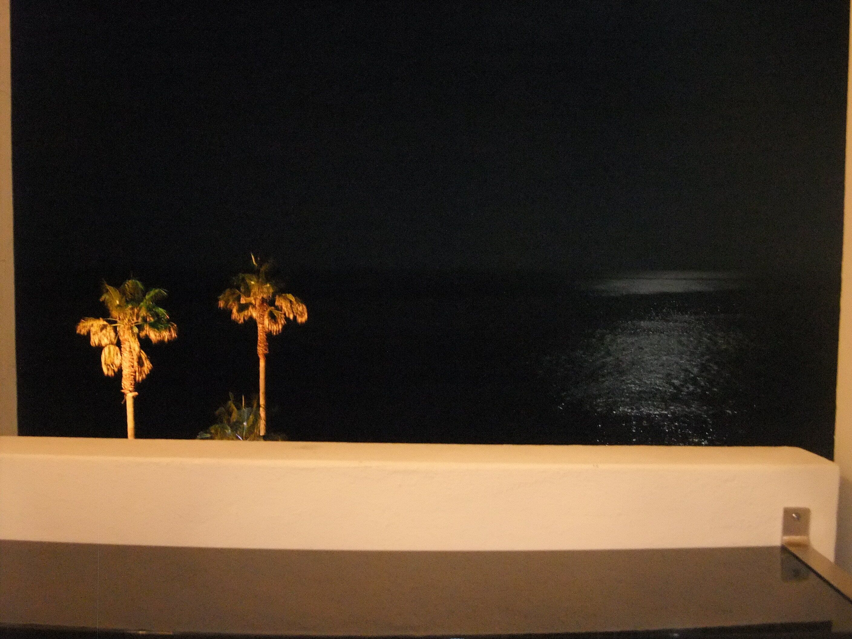 A night view from a balcony overlooking a body of water with palm trees.