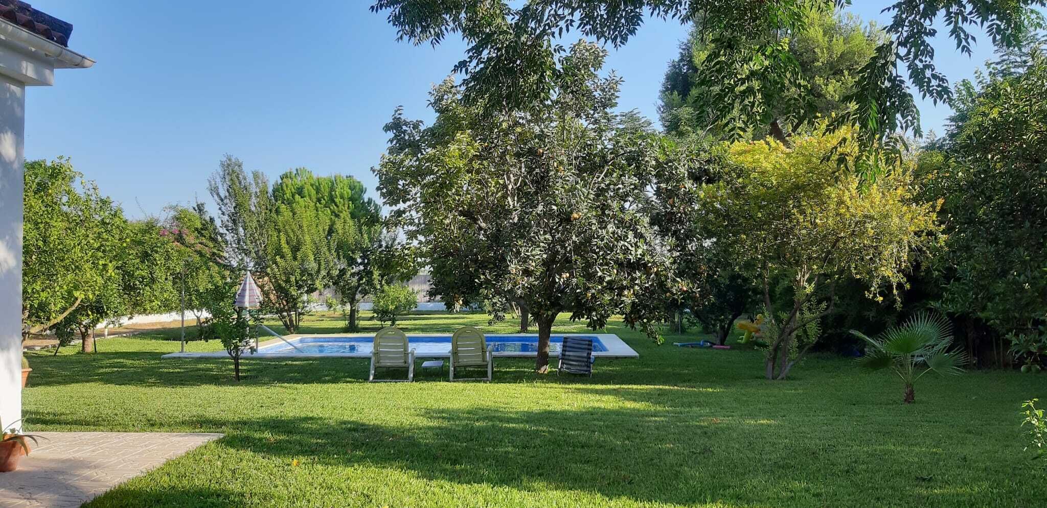 A swimming pool surrounded by lush greenery and trees.