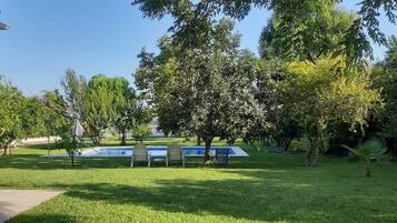 A swimming pool surrounded by lush greenery and trees.