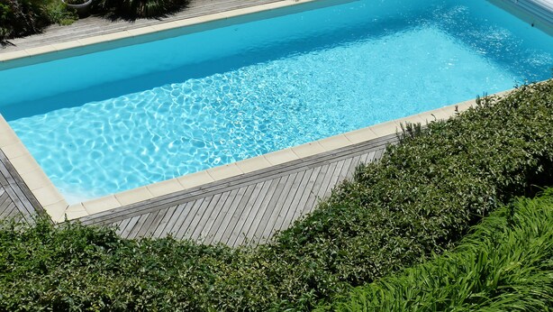 Una piscina rectangular con agua azul cristalina, rodeada por una cubierta de madera y abundante vegetación.