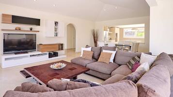 电视、游戏机、乒乓球、书