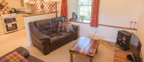 Televisión, reproductor de DVD y libros