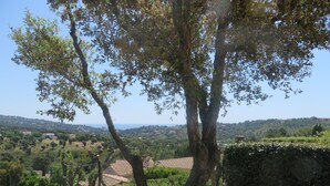 A tree-lined landscape with a stone wall and a view of distant buildings. - NEW VILLA LES CORALINES, WITH SEA VIEW AND SHARED POOL (Roquebrune-Sur-Argens)