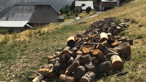 Un paysage rural avec une pile de troncs d’arbres coupés, une grange en métal et une cabane en bois dotée d’un toit en pente.