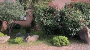 A building with a beige exterior, surrounded by various shrubs and a large rock. - Walk-new in charming residence with 300m² swimming pool in Porto Vecchio (Porto-Vecchio)