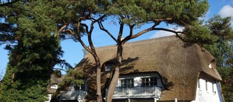 Vacation apartment in a thatched house, directly on the beach for 2-4 people