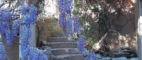 Terrain de lâhĂ©bergement