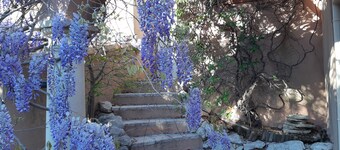 Villa, sea view with swimming pool heated 30 °