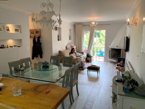 电视、壁炉、DVD 播放器、乒乓球