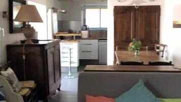 TV, fireplace, books