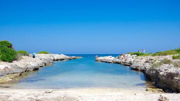 Playa en los alrededores y camastros