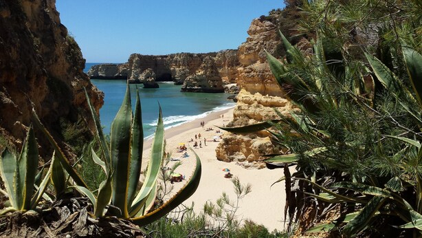 Una platja costanera amb penya-segats rocoses i cactus.