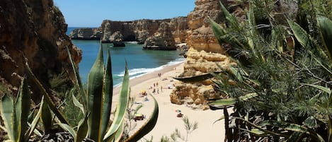 Playa en los alrededores, camastros y toallas de playa