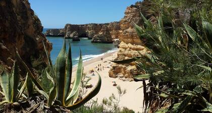 Villa 185m², 3000m² garden, private pool, 5 min. to beach, WLAN, domestic help