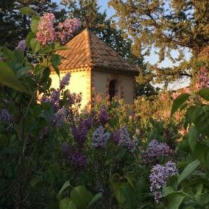 Property grounds - In the Luberon, apartment in a Provencal country house in the heart of the pine forest (Pertuis)