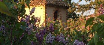 In the Luberon, apartment in a Provencal country house in the heart of the pine forest