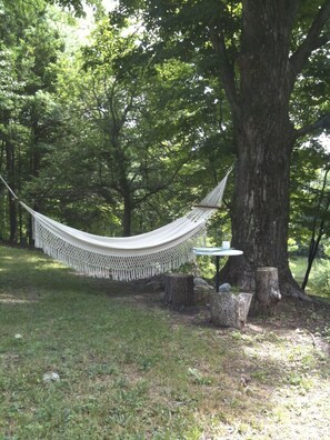 Property grounds - Expansive Countryside House, 7 Serene Acres with Pond & Woods (Litchfield)