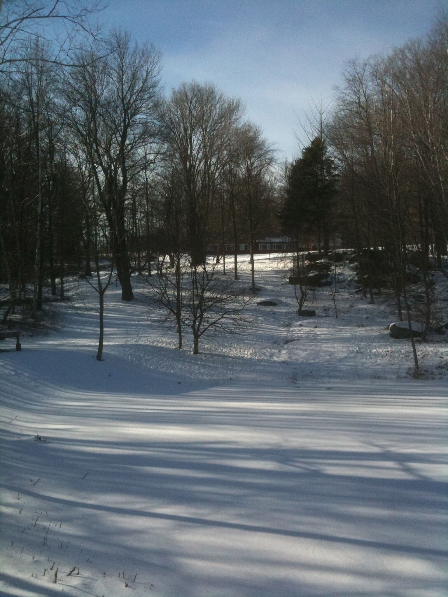 A snow-covered park with bare trees and a clear sky.