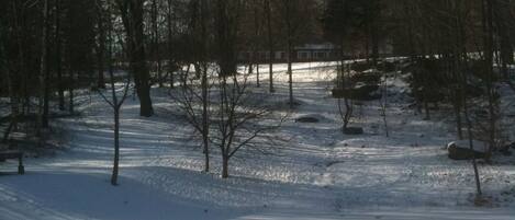 A snow-covered park with bare trees and a clear sky.