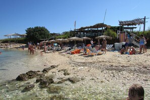 Lettini da mare