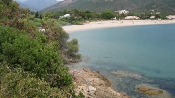 A coastal landscape with a clear blue sea, rocky shoreline, and mountainous background. - F3 feet in the water. 50 m from the beach (Sagone)