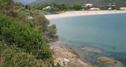 F3 feet in the water. 50 m from the beach