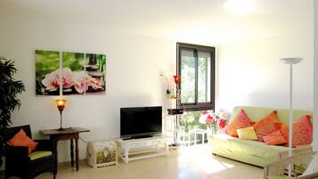 Télévision, lecteur de DVD, table de tennis de table, livres